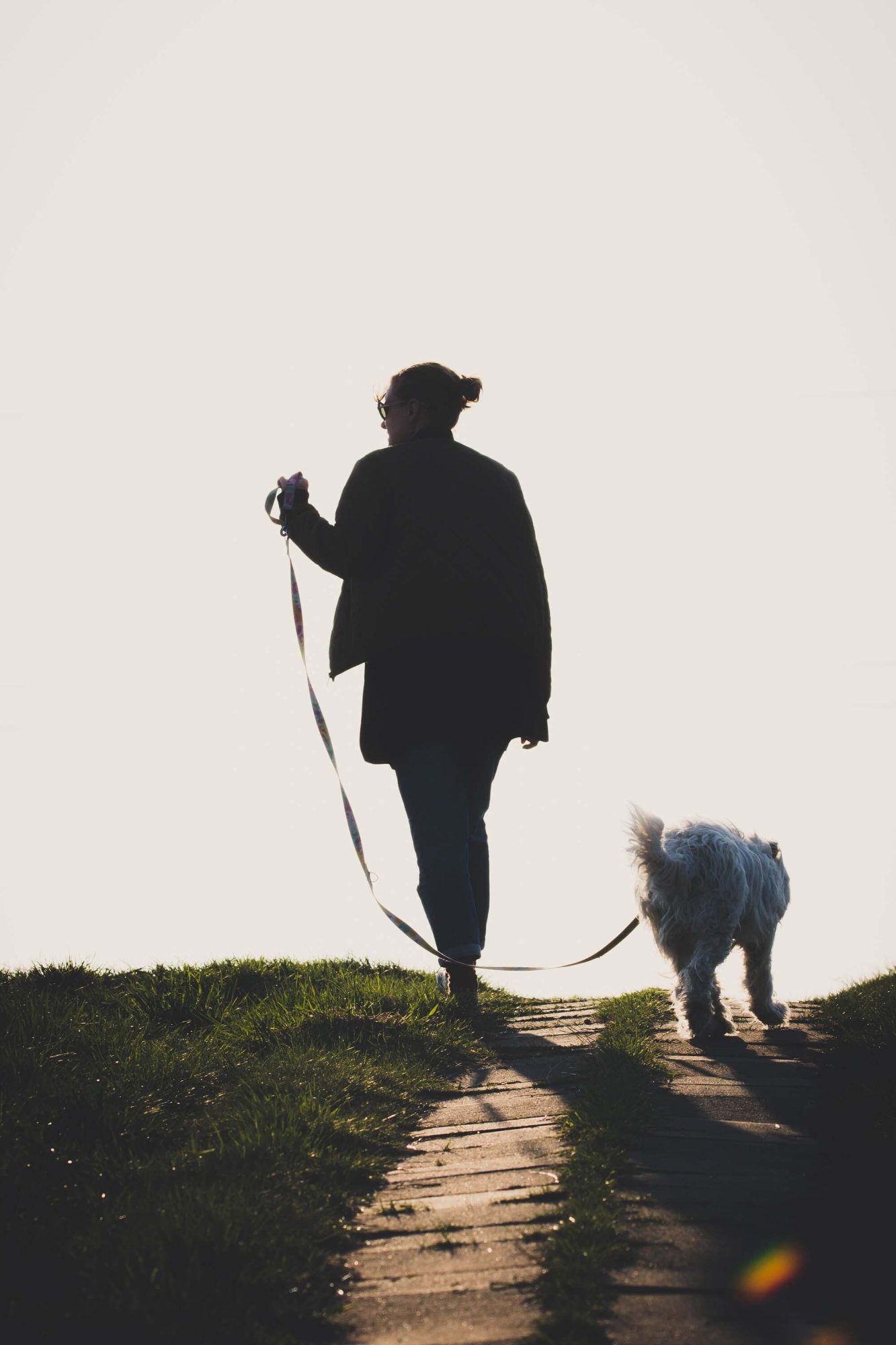 Friesland, geluk, vrouw hond werken in friesland wonen in friesland