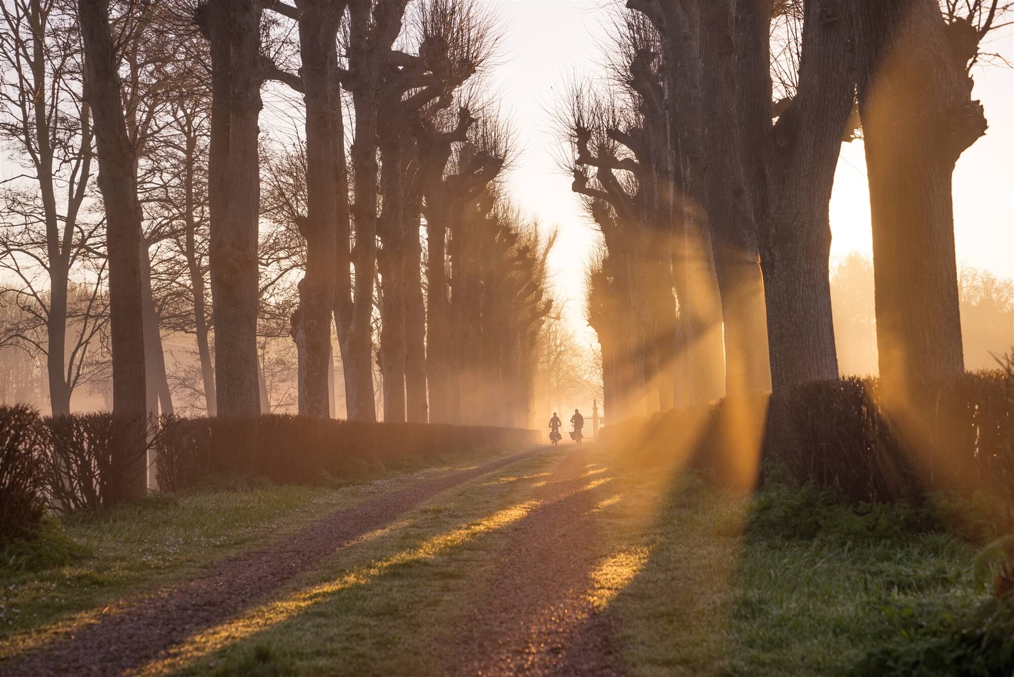 Bewegen natuur groen wonen leven dorp Friesland ontspanning vrijheid