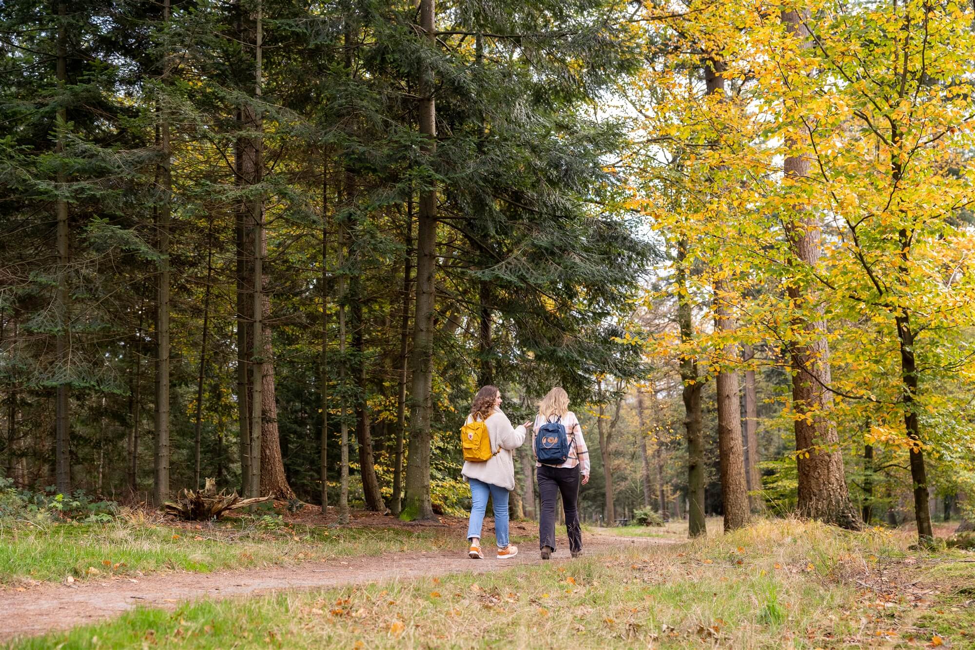 Bewegen bossen gezelligheid vrijheid natuur Friesland groen leven wonen