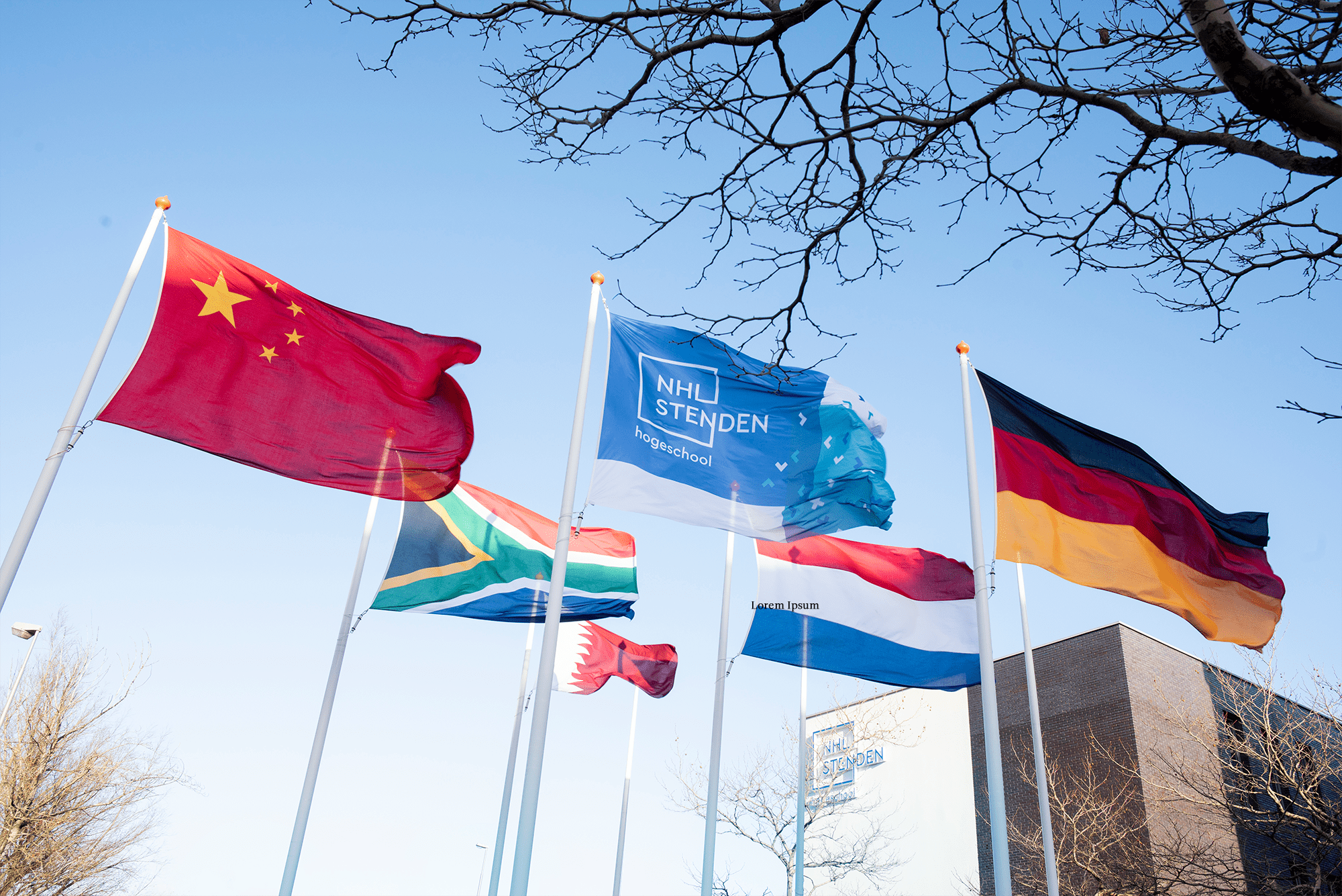 Vlaggen van verschillende landen en NHL Stenden vlag