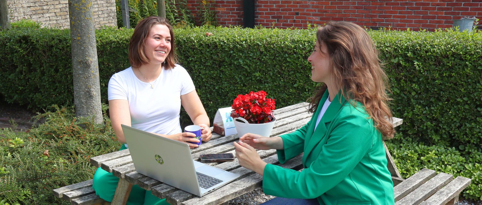 Wonen, Werken En Leven In Friesland (1)