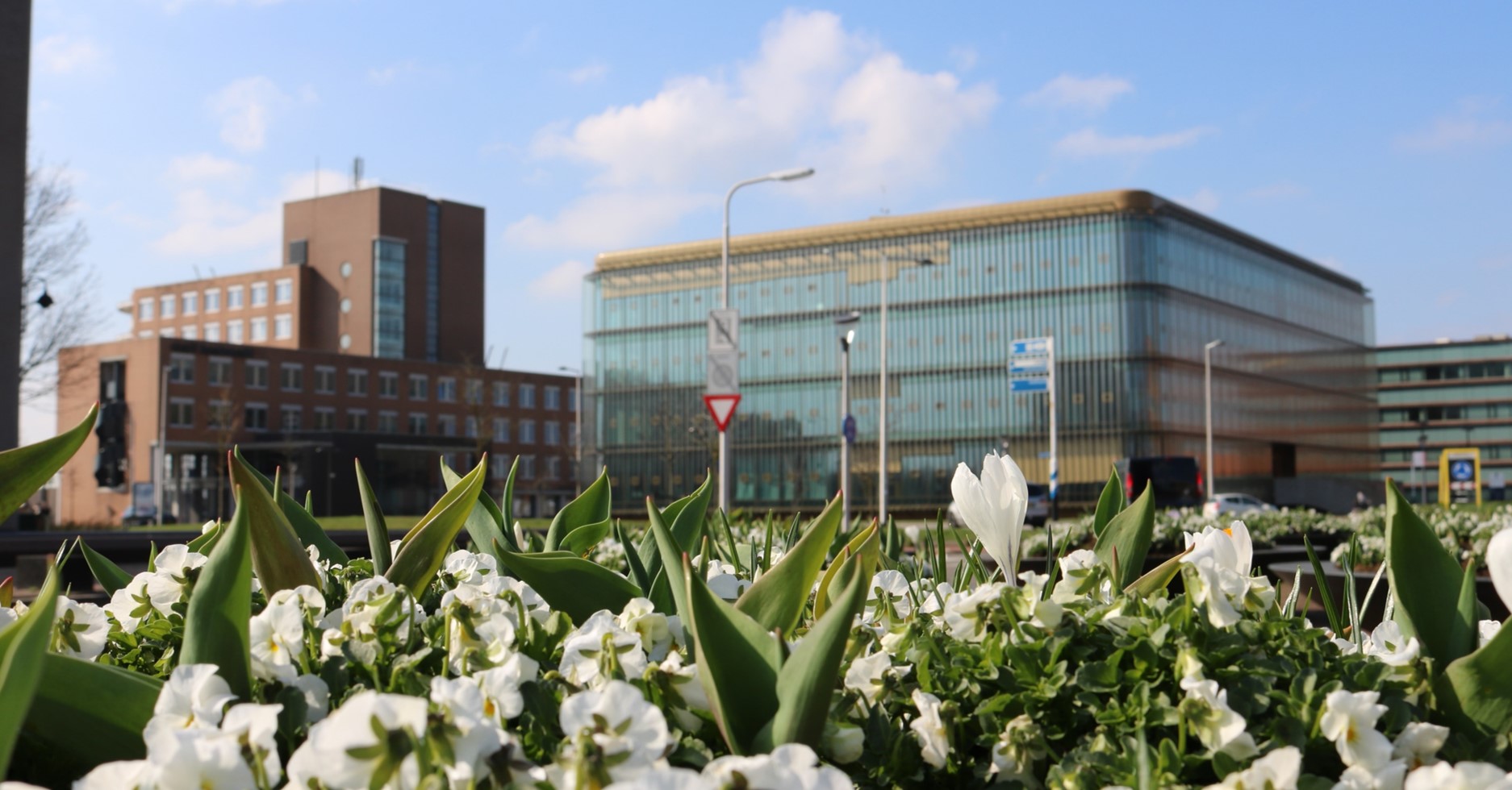 Centraal Justitieel Incassobureau foto buiten natuur