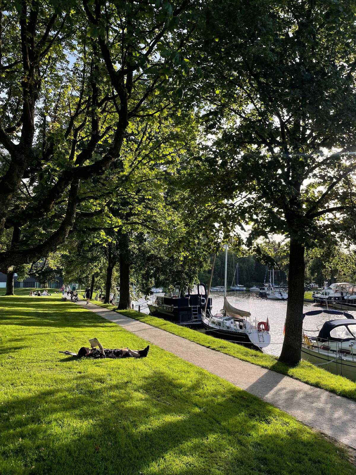 WhatsApp Image 2024 11 27 At 14.42.36