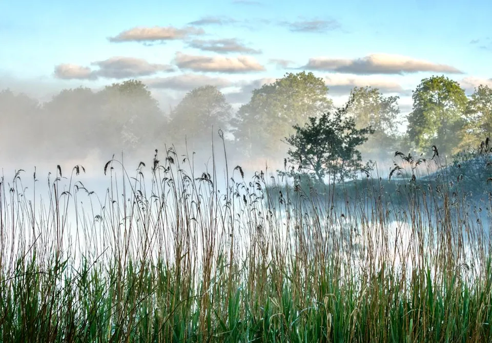 Wyldemerk Ochtend Skydrone Sloten
