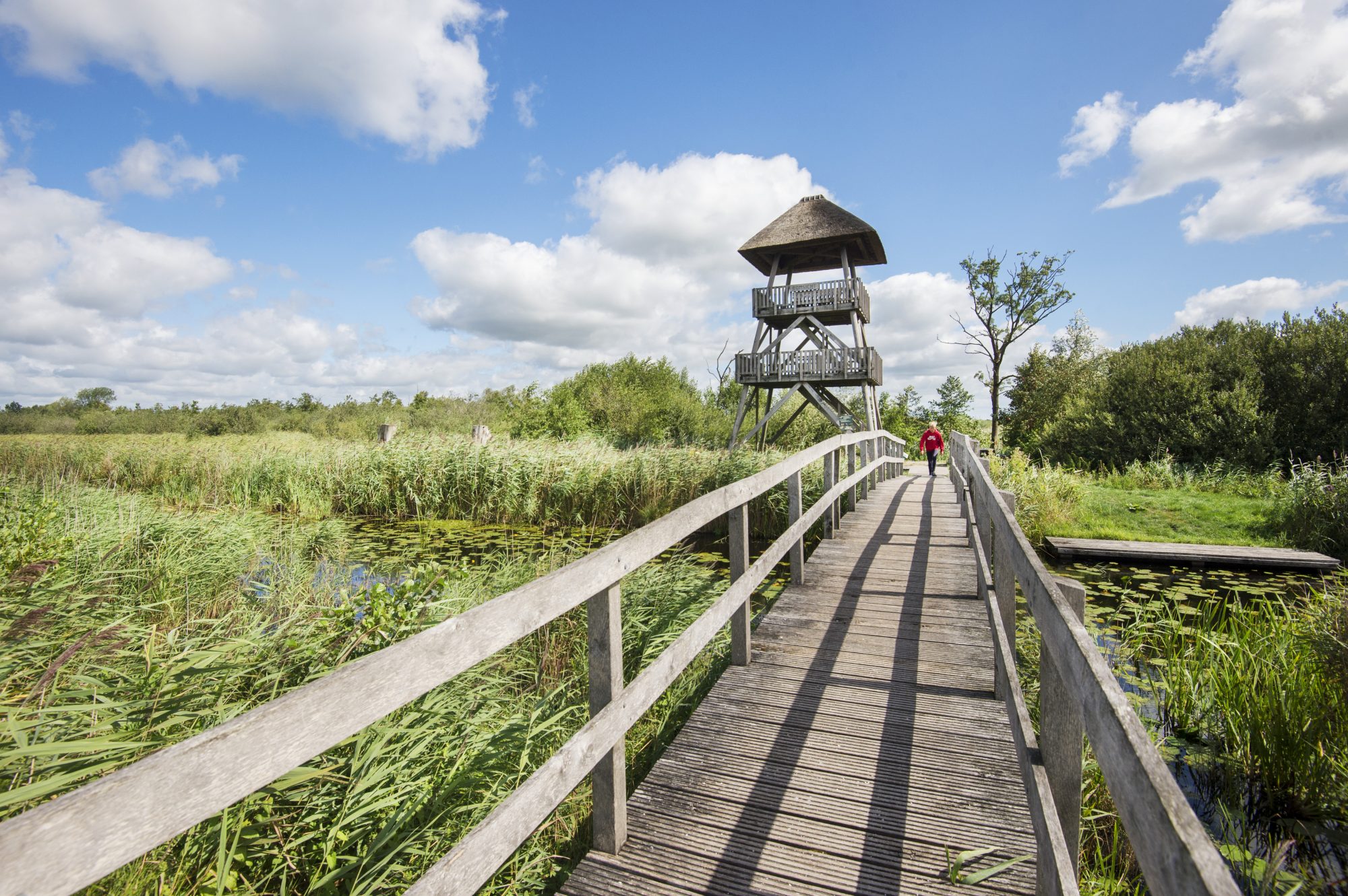 Nationaal Park De Alde Feanen