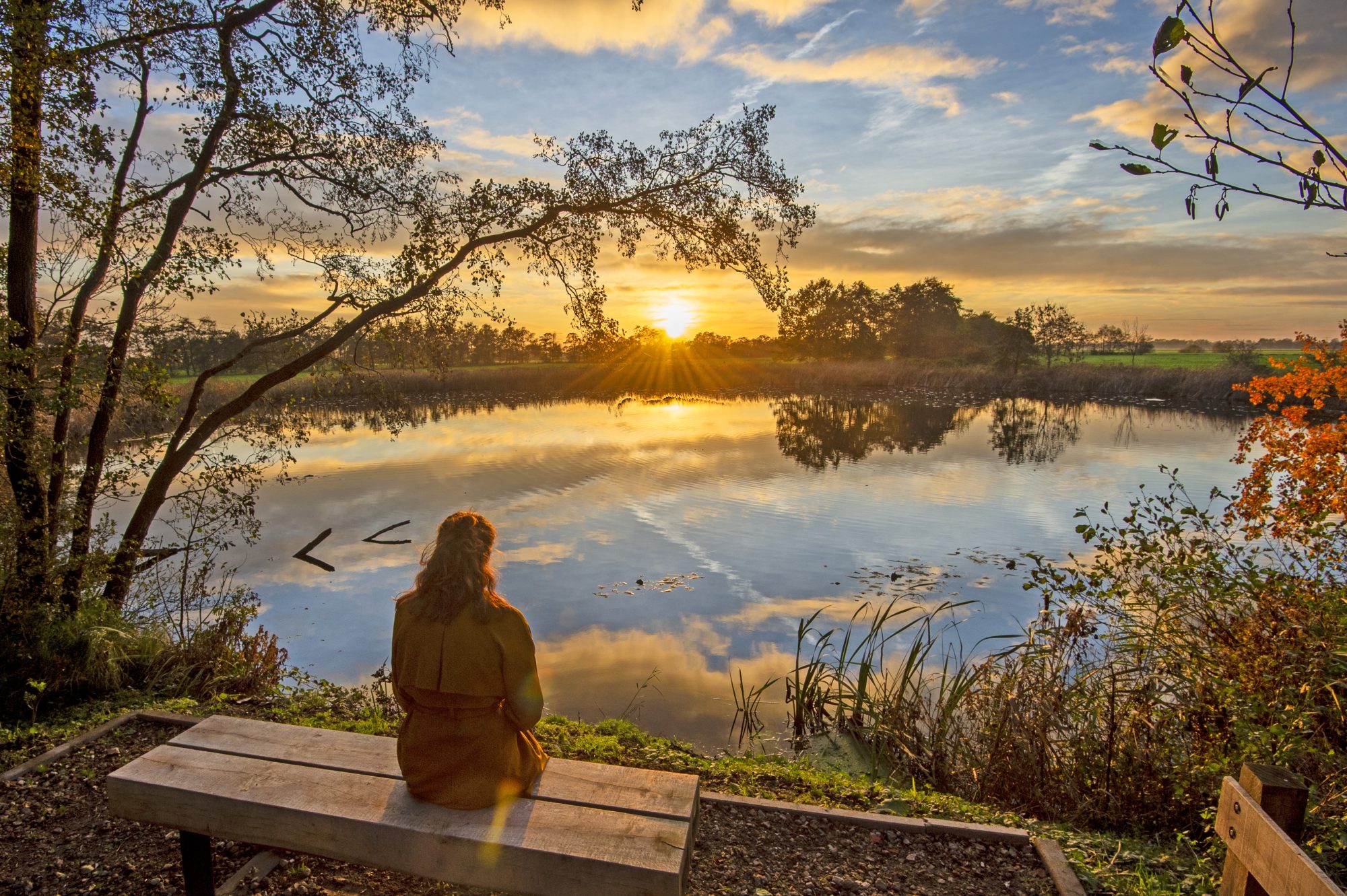 Burgum Pingo Langelaan DSC6622