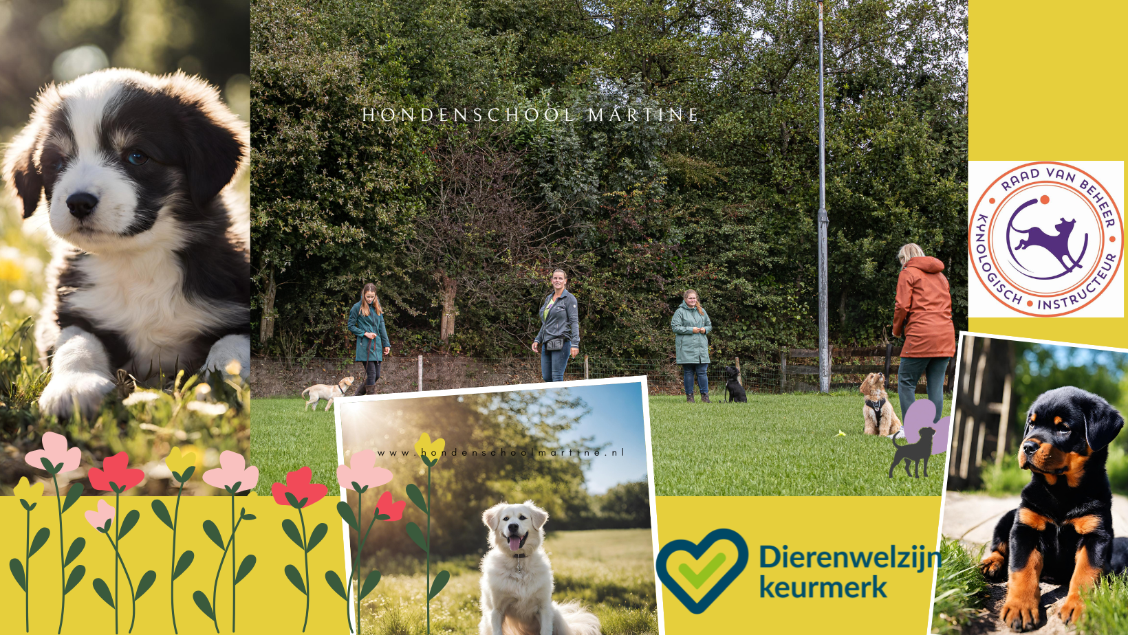 Hondenschool Martine3