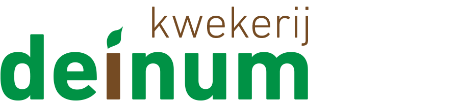 Kwekerij Deinum BV1